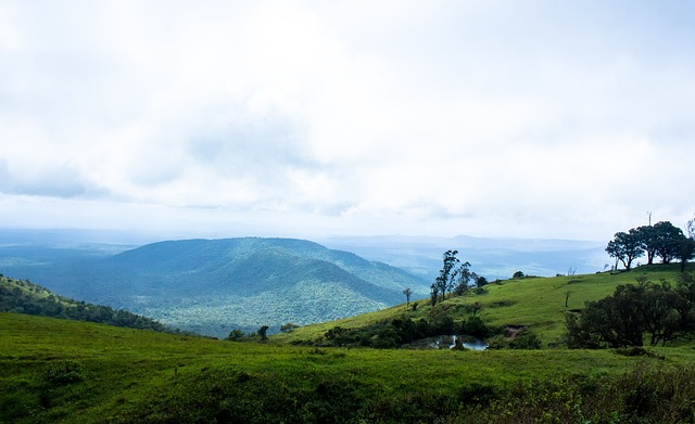 济和城市基 济和城市基
