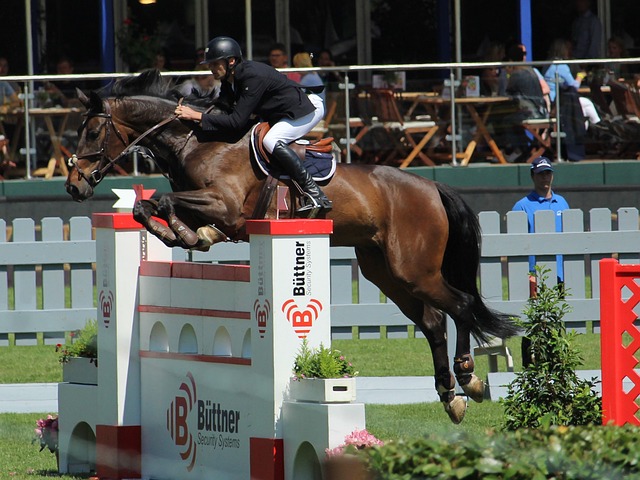 局与合作前 局与合作前