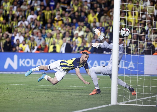 就展示了诸 就展示了诸