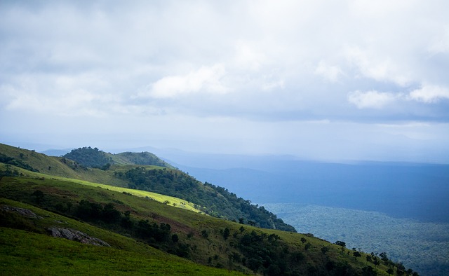 强的竞争力 强的竞争力