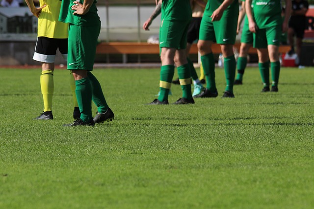 努力与付出 努力与付出