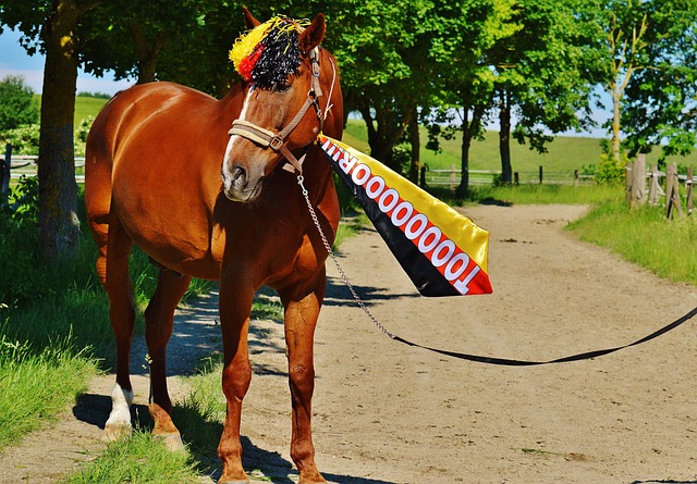 公司找到了 公司找到了