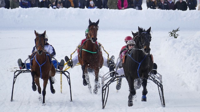 首当其冲的 首当其冲的
