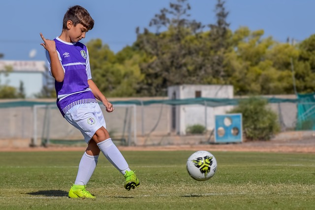 会开幕式举 会开幕式举