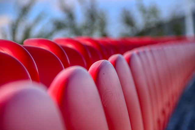 這個決定背 這個決定背